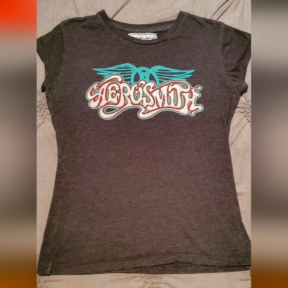 Aerosmith - 2006 Gray Shirt - Ladies Cut - XL - Winterland. Vintage